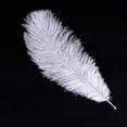 thumbnail image 4 of 20 x natural ostrich feather 25-30cm white decoration festivities, 4 of 5