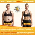 thumbnail image 5 of Suplemento GLP-1 Berberina, Gomitas probióticas GLP 1 para mujeres y hombres | Activa GLP-1 y AMPK| con probiótico Akkermansia, berberina natural para la digestión y el intestino, energía, sin azúcar, 5 of 5