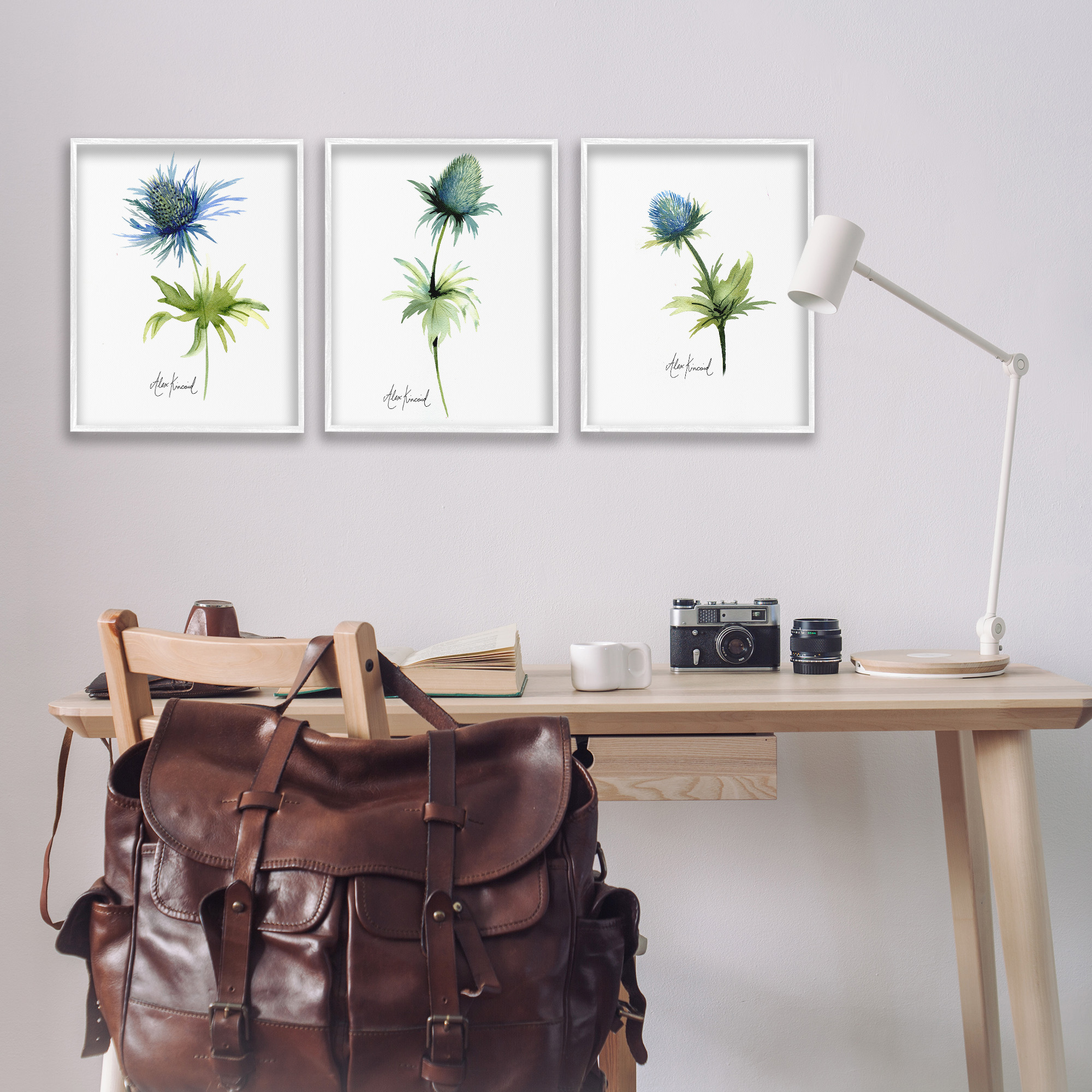 Stupell Industries Thistle Watercolors on White Botanical & Floral Painting White Framed Art Print Wall Art, 16 x 20, Set of 3
