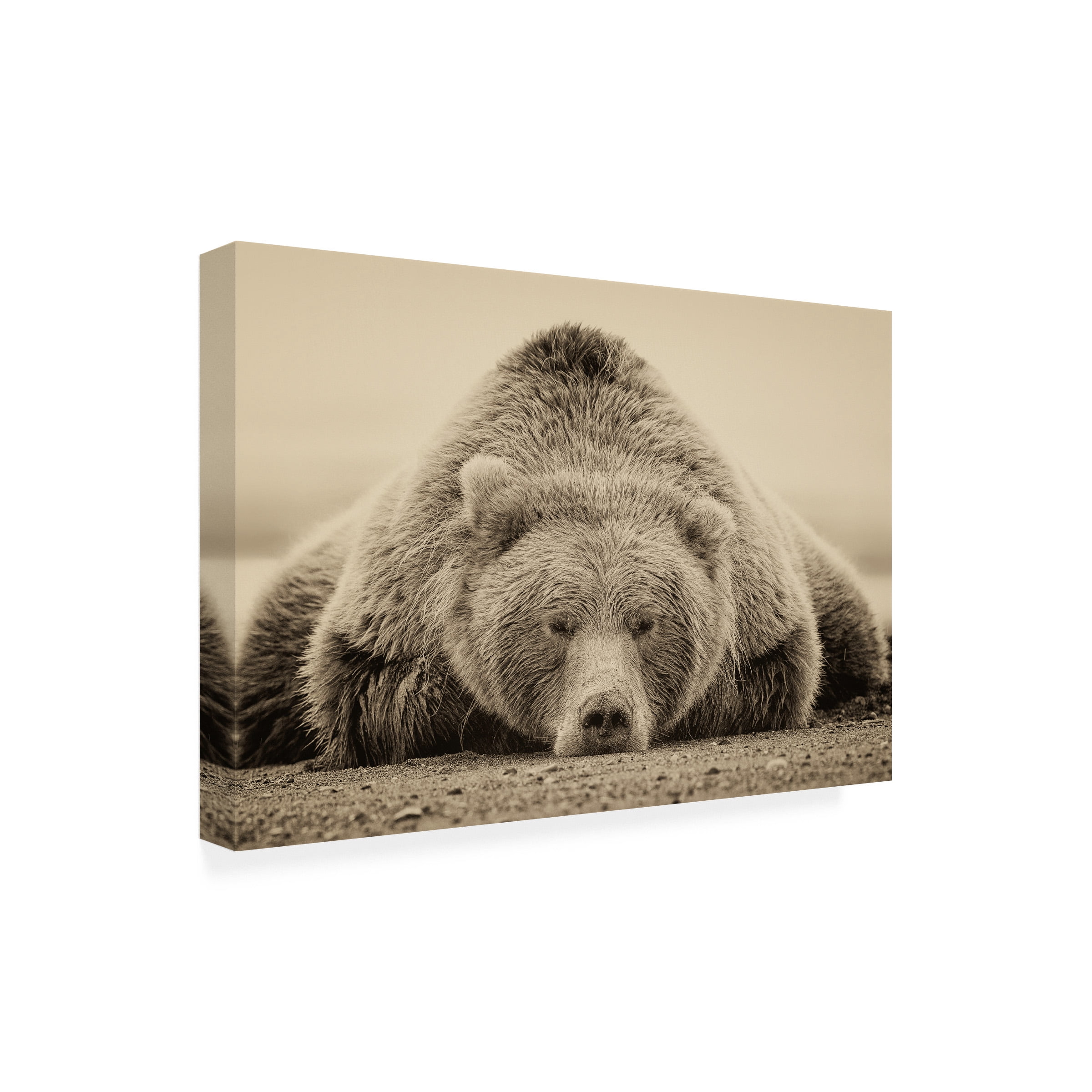 PHBurchett 'Deep Sleep' Outdoor All-Weather Wall Decor
