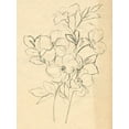 thumbnail image 2 of Parker, Jennifer Paxton 19x24 White Modern Wood Framed Museum Art Print Titled - Contour Flower Sketch I, 2 of 4