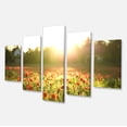 thumbnail image 2 of Poppy Field under Bright Sunlight - Large Landscape Canvas Art Print, 2 of 3