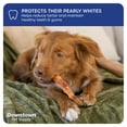 thumbnail image 6 of Downtown Pet Supply Pig Ears Strips For Small Dogs 0.5 lb Pig Ears for Dogs, 6 of 9