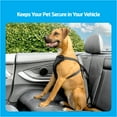 Premier Pet Pet Car Safety Tether Keeps Dog Secure in Any Vehicle