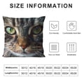 thumbnail image 5 of Qinduosi Throw Pillow Cover Maine Coon Cat Nose View Close White, 5 of 5