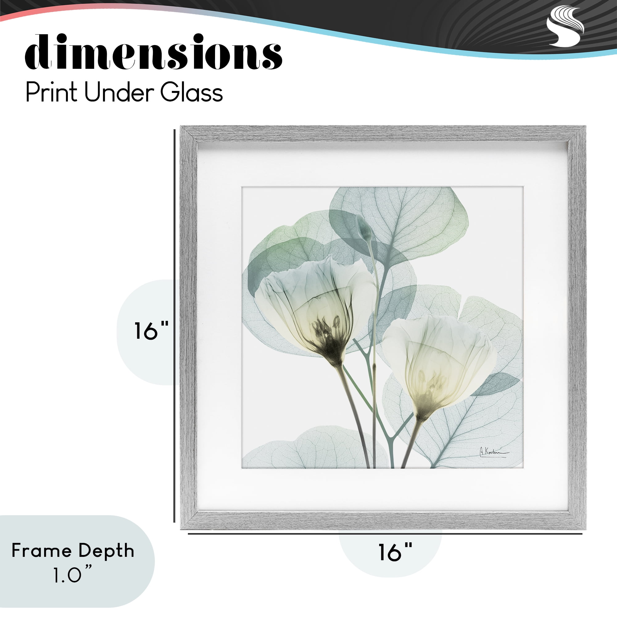 Stupell Industries Divine Fate Flower Leaves Gray Framed Print Under Glass, design by Albert Koetsier