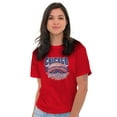 thumbnail image 4 of Chicago Cloud Gate Windy City Pride Plus Size Crewneck Graphic Tee Shirt Brisco Brands 2X, 4 of 5