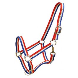 Testiera Per Pony Showman In Nylon E Cotone – Colori Nero, Blu E Crema – Con Corda