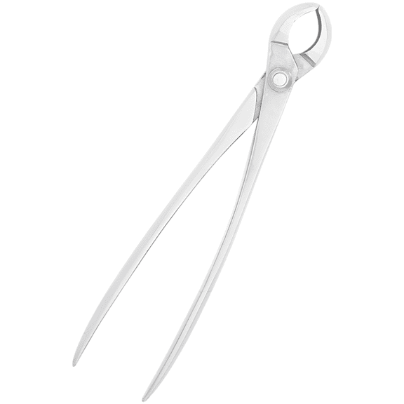 Bonsai Pruning Shears, Round Edge Stainless Steel Branch Cutter, 8.5 x 1.9 in, 7.7 oz Lightweight Multifunctional Garden Tool for Precise Plant Shaping, Bud Trimming, Comfortable 0.43 in Handle
