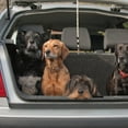thumbnail image 3 of HINTRMENT 1Set Round Bells Dog Training Bell Prevent Accidental Exit Pet Training Bells, 3 of 7