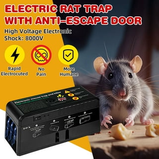 Electric Mouse Trap / Best Electric Mouse / Rat Trap #Mause
