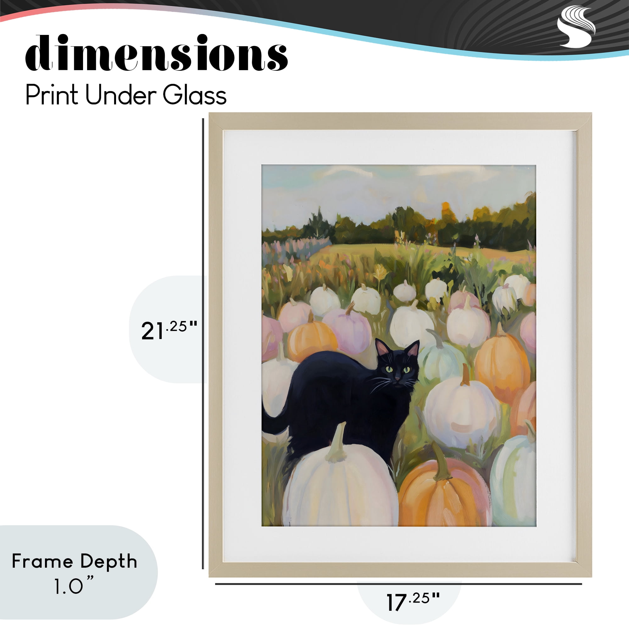 Stupell Industries Kitten & Pumpkins in Field Birch Framed Print Under Glass, design by The Prints Vibe