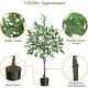 thumbnail image 4 of 4 - foot artificial eucalyptus tree con pot: high - quality fake plant para home y oficina decoration, 4 of 5