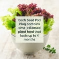Looseleaf Lettuce Seed Pods w Plant Food for Click and Grow & Outdoor