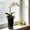 Black, variant on Self-Watering Orchid Planter Pot, Flower Container with Auto Irrigation for Indoor Plants, Clear Decorative Cachepot for Home Office Desk, 7.4x4.8x4.8in