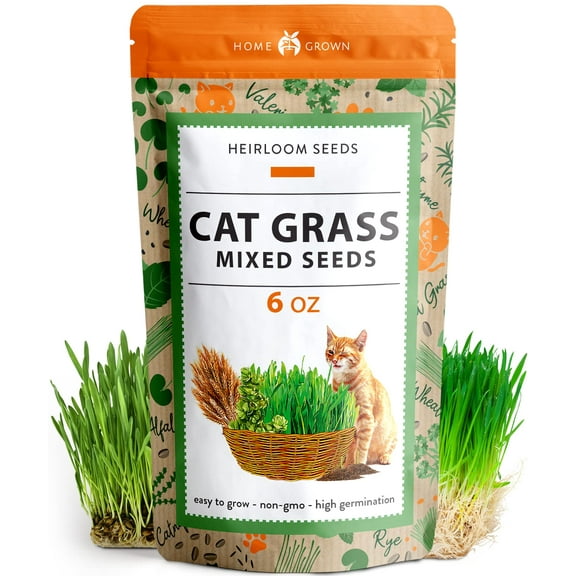 HOME GROWN 30,000 Cat Grass Seeds (6oz) MVR1 𝗡𝗢𝗡-𝗚𝗠𝗢 𝗨𝗦𝗔 Heirloom Oat Mix - Refill for Indoor Cat Grass Growing Kit - Safe Healthy Green Grass for Cats - Pet Grass for Eating & Digestion
