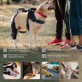 thumbnail image 2 of Dogs Knee Brace for Back Leg, Hinged Dog Knee Brace for Torn ACL Hind Leg, Dog Knee Brace for Luxating Patella, Dog Brace for Back Leg Support, 2 of 5
