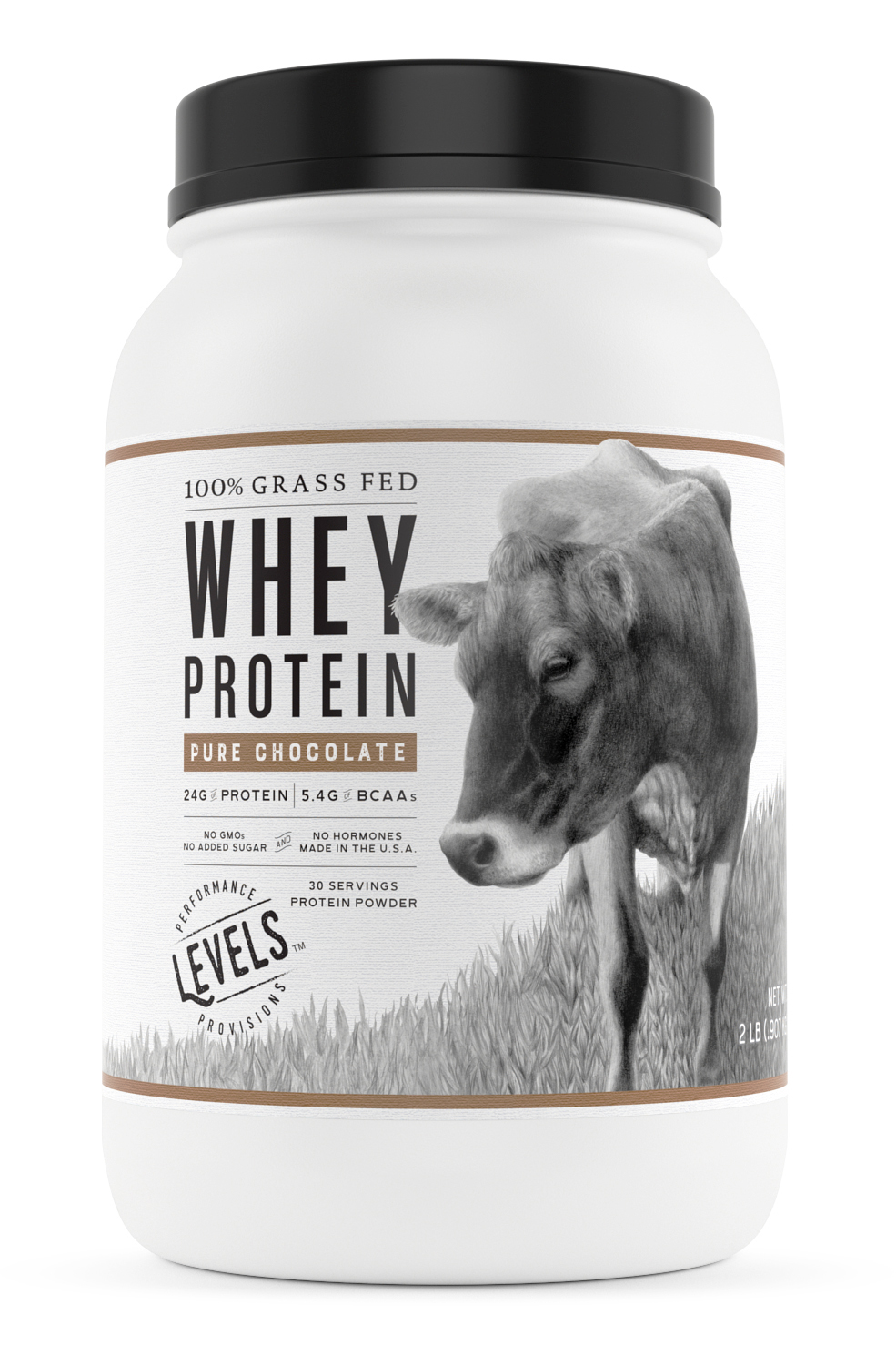 Levels 100 Grass Fed Whey Protein, No GMOs, Pure Chocolate, 2LB