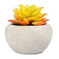 thumbnail image 2 of (2 pack) Mainstays 3.54" Artificial Succulent Plant in Cement Pot, Yellow & Orange, 2 of 7