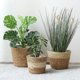 thumbnail image 4 of Cesta para macetero de pasto marino, 3 uds., cubierta tejida para maceta, macetas, cesta de almacenamiento, contenedores para plantas para decoración del hogar (Beige), 4 of 5