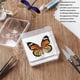 thumbnail image 4 of Kit de herramientas para Muestras de mariposas ANGGREK Acero inoxidable, 4 of 7