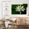 thumbnail image 5 of Elephant Stock White Lotus Flower Wall Art - Horizontal Canvas Wall Art - Living Room Wall Decor - Floral And Botanical Canvas - Green And Black Decor - 51" x 34", 5 of 8