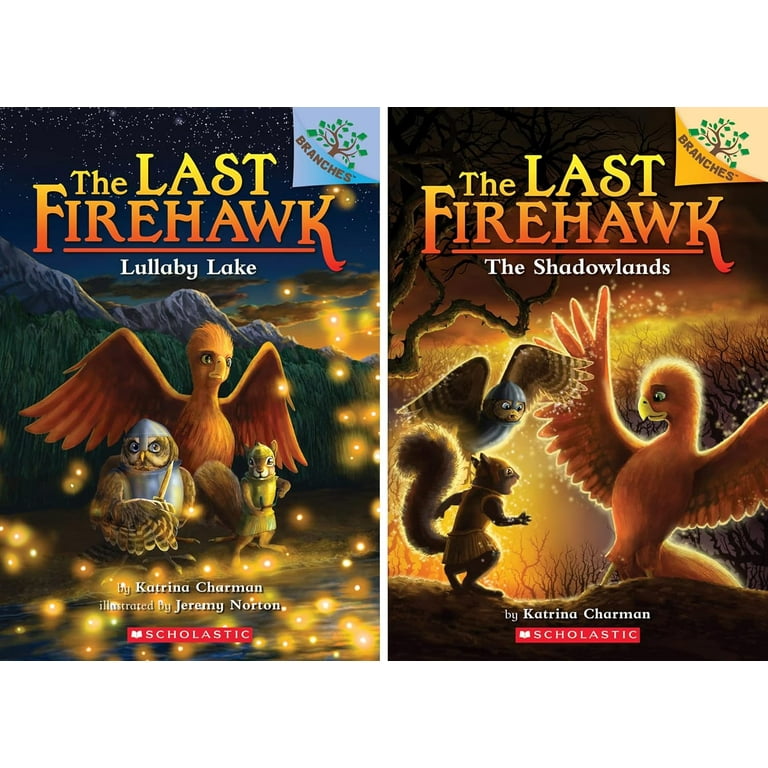 The Last Firehawk11冊英語版 📚🚀《The Last Firehawk》火鹰传奇英文原版11册，带你飞跃英语