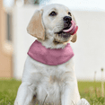 thumbnail image 4 of Pet Summer Cooling Wear, Cooling Neck Wrap, Dog Cooling Bandana, Cooling Neck Wraps for Summer Heat, Cooling Towels for Neck, Pink Breathable Mesh Neck Cooling Collar for Dogs（S）, 4 of 5