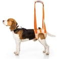 thumbnail image 5 of Arnés de elevación para perros, ayuda de soporte trasero para mascotas, cabestrillo aprobado por veterinarios para perros viejos K9, ayuda con poca estabilidad, 5 of 5