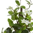 thumbnail image 2 of Nearly Natural 24" Stephanotis Artificial Climbing Plant, White, 2 of 6
