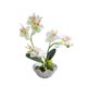 thumbnail image 5 of Planta falsa Bewildely ABS Tela decorativa Simulación Hogar Restaurante Maceta artificial, 5 of 6