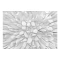 thumbnail image 3 of Tiptophomedecor 3D Illusion Wallpaper Wall Mural - White Dahlia, 3 of 4