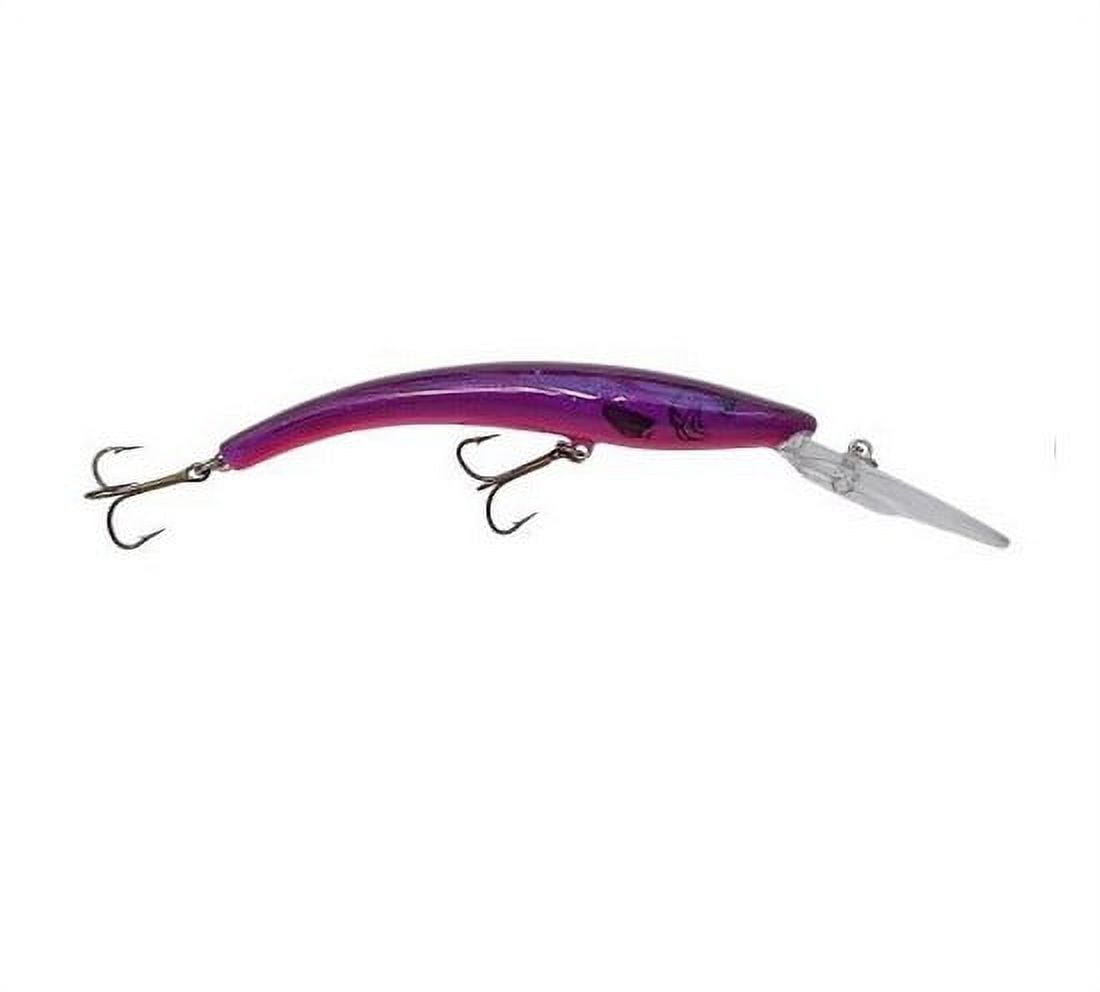 Reef Runner 800 Series Deep Divers Fishing Lure Hard Bait Crank Bait 6-3/16" Purple Demon 800-53