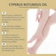 thumbnail image 3 of 1-3x Cyperus Rotundus Oil, 100% Pure Cyperus Rotundus Oil Organic -Reducing Body Hair Growth, Soothes & Nourishes Skin, Safe for All Skin Types, 3 of 5