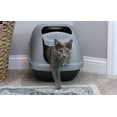 thumbnail image 4 of Petmate Basic Hooded Enclosed Cat Litter Pan Covered Plastic Box with Door, Large, Blue Silver, 4 of 9