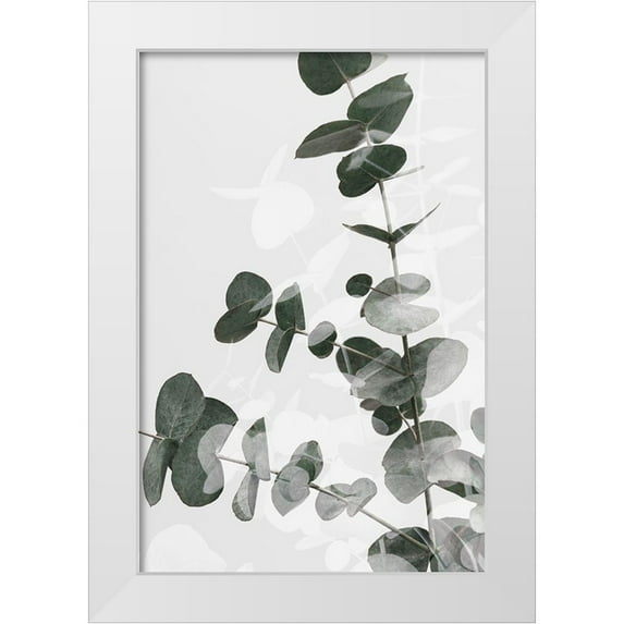 Artographie Studio 23x32 White Modern Wood Framed Museum Art Print Titled - Eucalyptus Creative 04