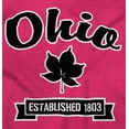 thumbnail image 2 of Ohio Cute Buckeye Leaf Souvenir Men's Graphic T Shirt Tees Brisco Brands M, 2 of 6