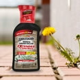 Spectracide Weed and Grass Killer with Extended Control Concentrate, 32