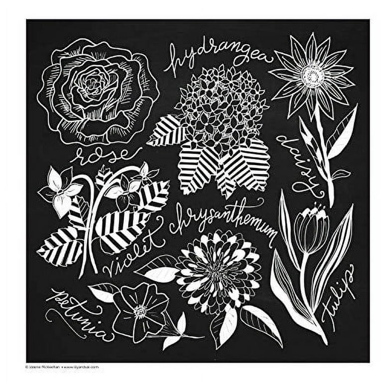 Chalkboard style adult coloring book - Chalk-Style Botanicals Deluxe C –  Adventacle