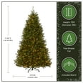 thumbnail image 4 of National Tree Company 7.5 ft Pre-Lit Dunhill Fir Artificial Christmas Tree, 700 LED Lights, 2,514 Tips, Foot Pedal, 10 Light Functions, Includes Stand, Green, 4 of 9