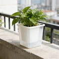 thumbnail image 5 of Translucent Squares Watering Planter Self Watering Pot Plastic Succulent Herb Plant Pot Indoor Outdoor Home Garden Desk Table Decorative Flower Pot Container Modern Home Decor Gift Accent, 5 of 7
