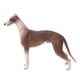 thumbnail image 3 of Simulación de decoración de galgo, modelo de galgo marrón de simulación, adornos de modelos de galgo, modelo de galgo de juguete, salida de alta intensidad, 3 of 9