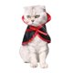 thumbnail image 3 of RV Capa de Halloween para Mascotas, Gato y Perro, Disfraces de Navidad, Superma para Mascotas BRILLAR Rojo Verde, 3 of 5