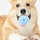 thumbnail image 2 of KAKOWELY Juguete para perros Juguete masticable para perros Juguete para masticar con dientes Juguete interactivo para cachorros Pelota de golosinas para mascotas Pelota de golosinas para perros, 2 of 5