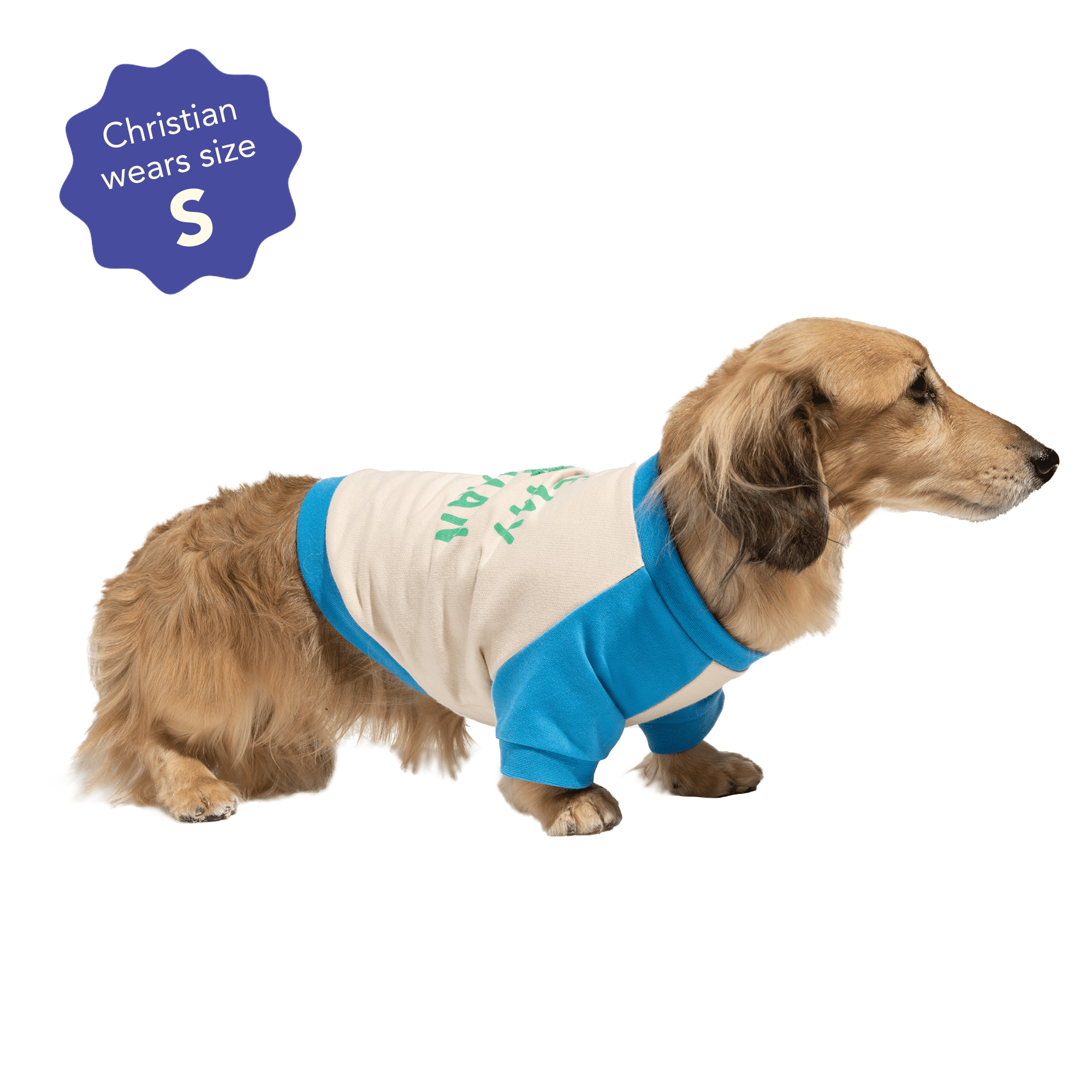 Oodles Blue Love My Human Spring Raglan Dog T-Shirt, Medium