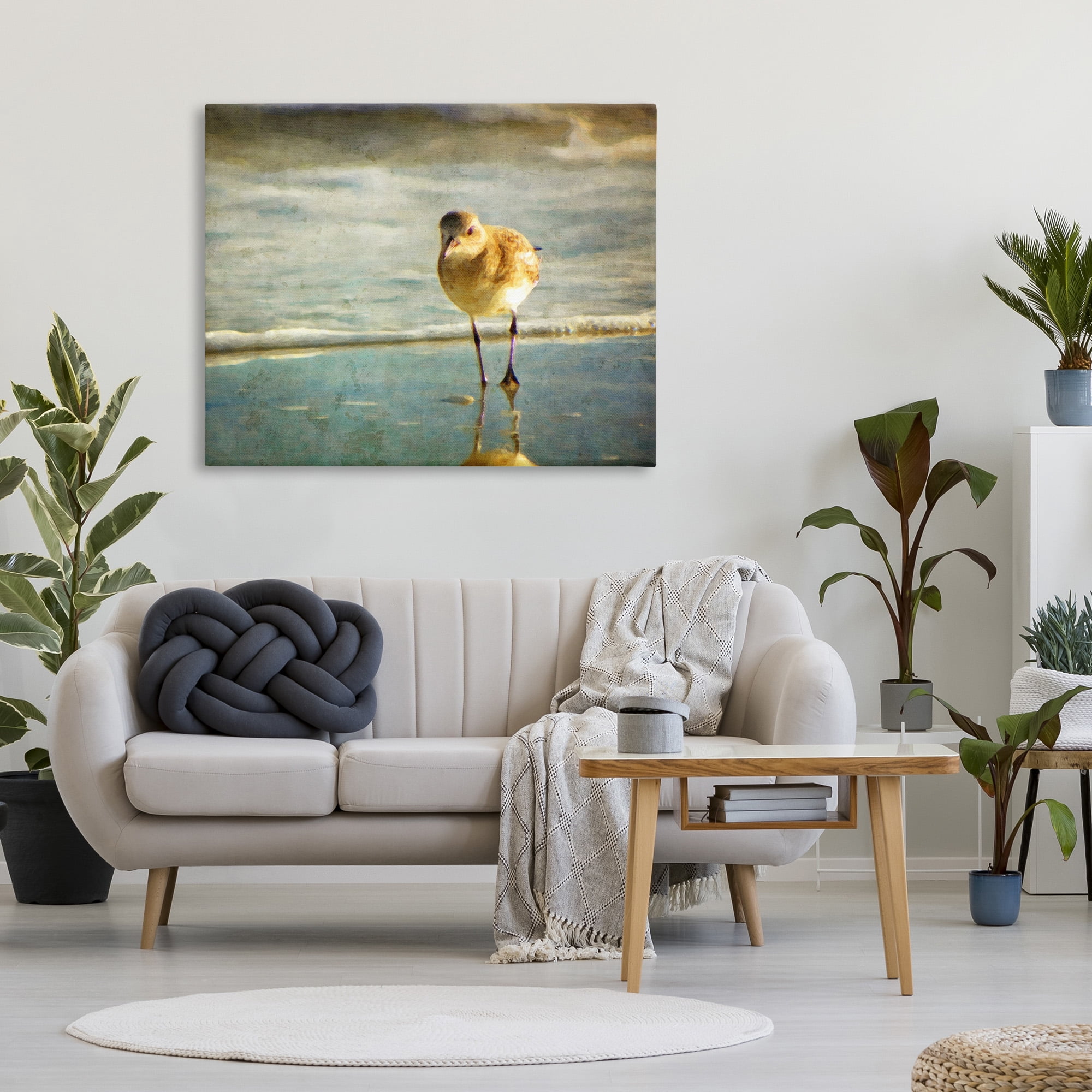 Stupell Industries Stepping Sandpiper at Shore Animals & Insects Photography Gallery Wrapped Canvas Art Print Wall Art, 48 x 36