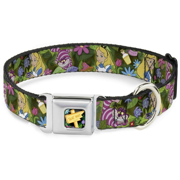 Disney Pet Collar, Dog Collar Metal Seatbelt Buckle, Alice Cheshire Cat Poses Flowers, 9.5 to 13 Inches 1.0 Inch Wide