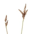 thumbnail image 3 of Park Hill Collection Pasture Grass Collection, Set Of 12, Assorted Styles, 3 of 4