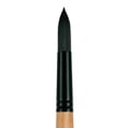 thumbnail image 1 of CEPILLO DIXON TIC/PRINCETON DIXON TIC/PRINCETON BRUSH  PB6400R2, 1 of 1
