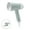 Green, variant on Rowenta Easy Steam Handheld Travel Garment Steamer, Foldable Handheld Steamer, 1100 Watts, 2.3 Oz Capacity, Green, DR1014
